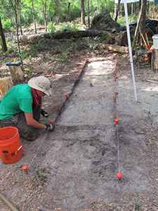 arcadia mill field school excavations